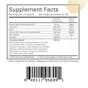 SSPJOI Anti Grey 250 mg Supplement for Men and Women with Folic Acid, B-Vitamins & Biotin - Supports Grey Hair Change and Promotes Strong Healthy Hair