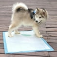 thumbnail image 4 of Flmtop 20/40/50/100Pcs Disposable Pet Dog Diaper Super Absorbent Training Pee Pad Nappy, 4 of 9