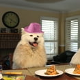 Little Cowboy Hats for Crafts Dog Cowboy Boots Small Dog Birthday
