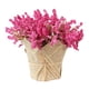 thumbnail image 1 of Lavanda artificial Gypsophila Cabezas de flores Decoración de bricolaje Rosa roja, 1 of 6