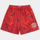 thumbnail image 1 of Pantalones cortos de gimnasio con estampado Floral para hombre, Shorts clásicos de malla básica para gimnasio, baloncesto, deportes de playa, 2024, 1 of 5