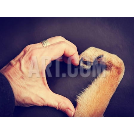 A Person And A Dog Making A Heart Shape With The Hand And Paw Toned
