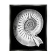 thumbnail image 2 of Stupell Industries Spiral Sea Life Beach Shell Modern Fractal Graphic Art Luster Gray Floating Framed Canvas Print Wall Art, Design by Graffitee Studios, 2 of 5