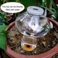 thumbnail image 3 of Piezas Botella de Riego Cono 300ML, Bola de Arcilla para Plantas de Interior, Sistemas de Riego Automático para Macetas, Dispensador de Agua Plantas Riego Bolas Transparentes de Vacaciones (Seta), 3 of 5