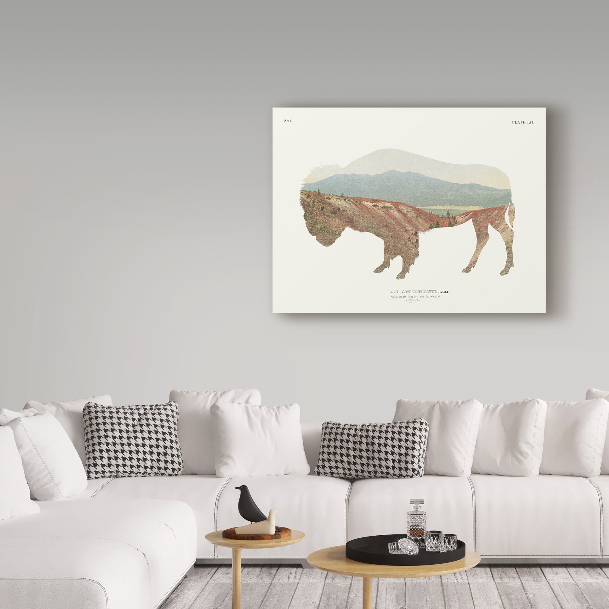 Trademark Fine Art 'American Southwest Buffalo' Canvas Art by Wild Apple Portfolio