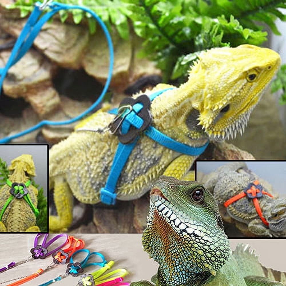 Trayknick Lizard Harness Adjustable Convenient Soft Great Hardness Lacertid Leash for Outdoor Green