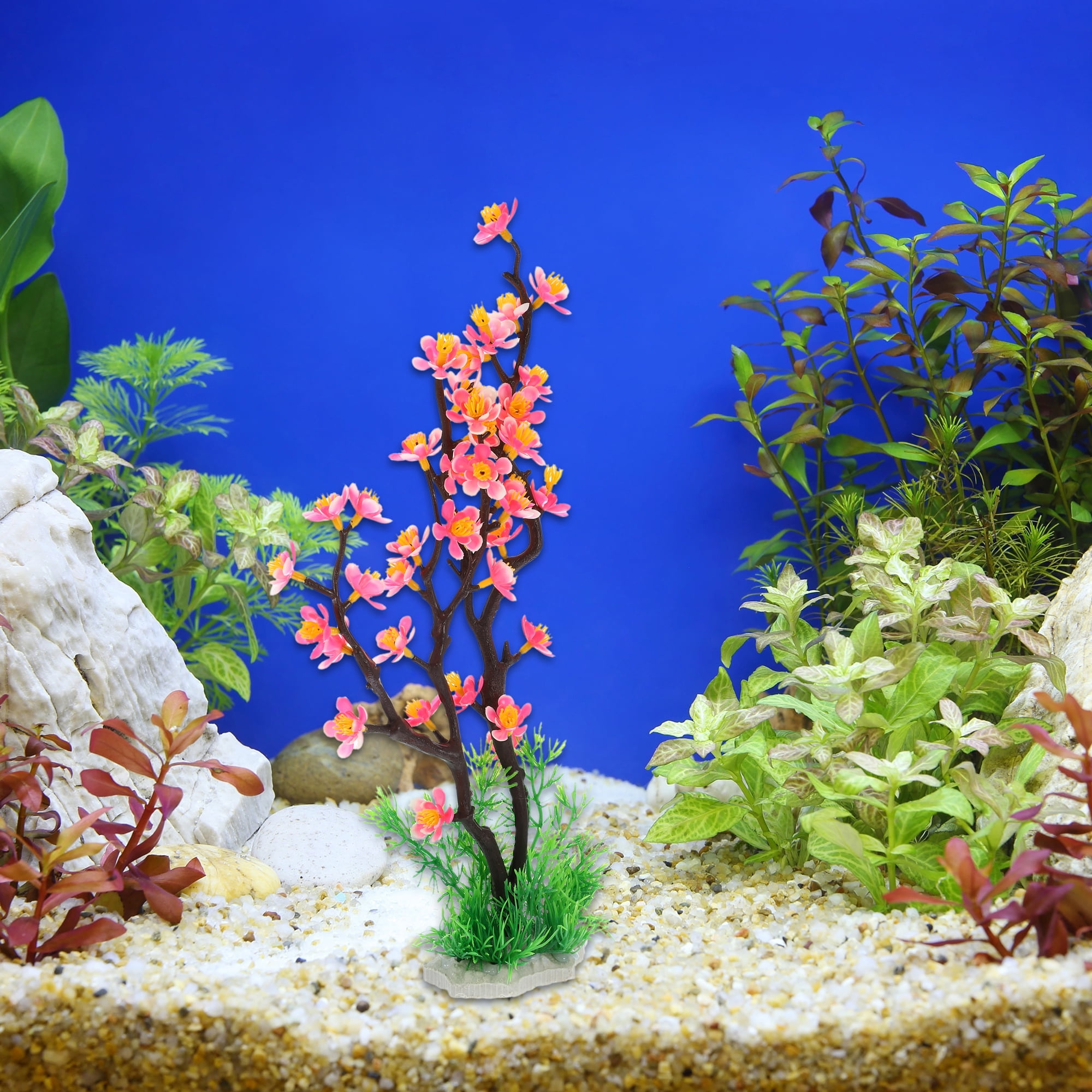 Colorful fish top tank decorations