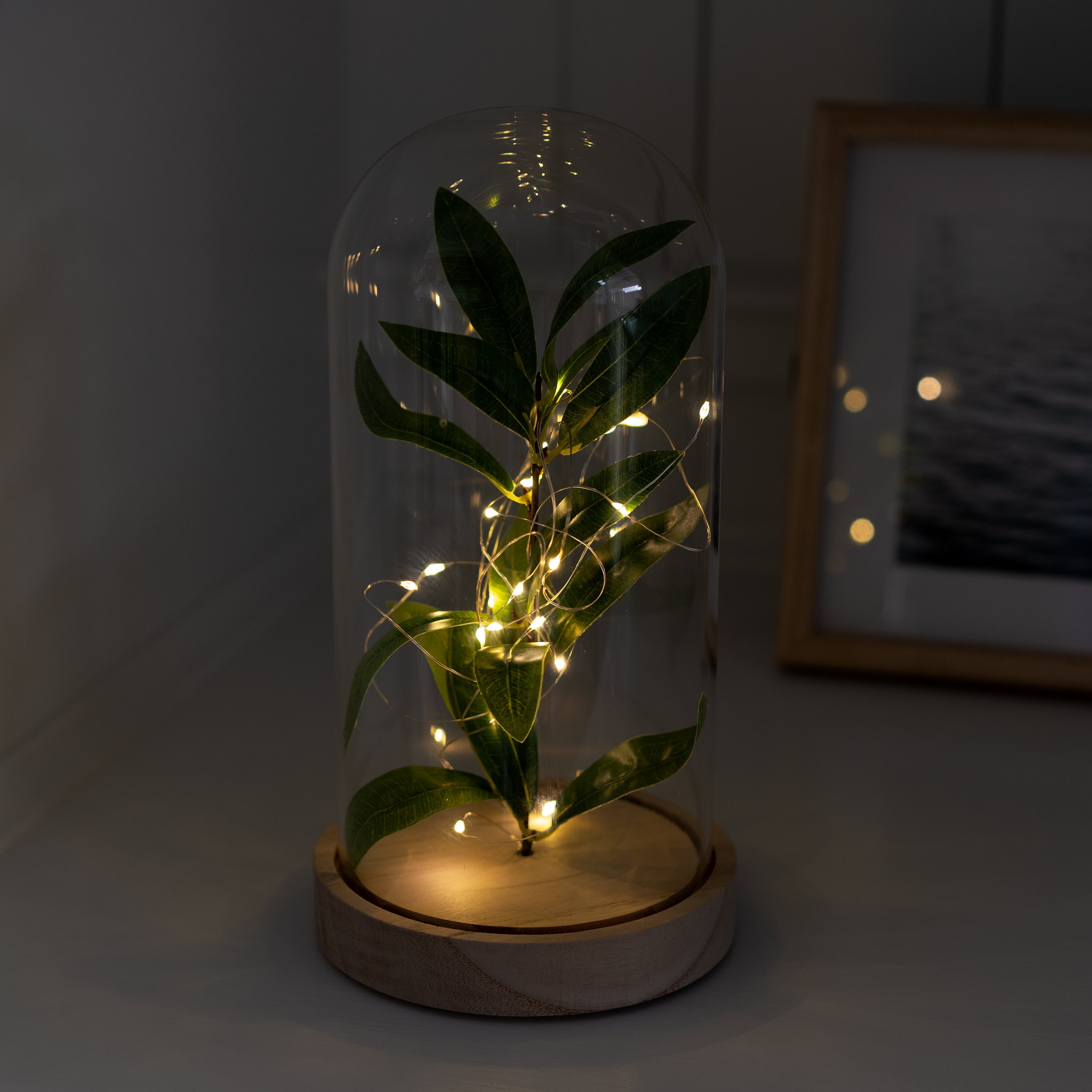 Mainstays 10" Indoor Tabletop LED Cloche with Faux Plant