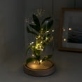 thumbnail image 2 of Mainstays 10" Indoor Tabletop LED Cloche with Faux Plant, 2 of 6