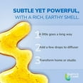 thumbnail image 5 of Earth's Care Clove Essential Oil 100% Pure for Aromatherapy - Steam Distilled - 1 oz, 5 of 9
