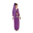 thumbnail image 3 of Kiijoy Girl's Dance Outfits Show Belly Dance Sequin Mesh Clothes Set, 3 of 3