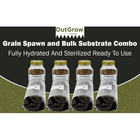 Grain Spawn Jars and Manure Substrate Combo | 4 Sterilized Rye Jars & 4 Substrate Bags