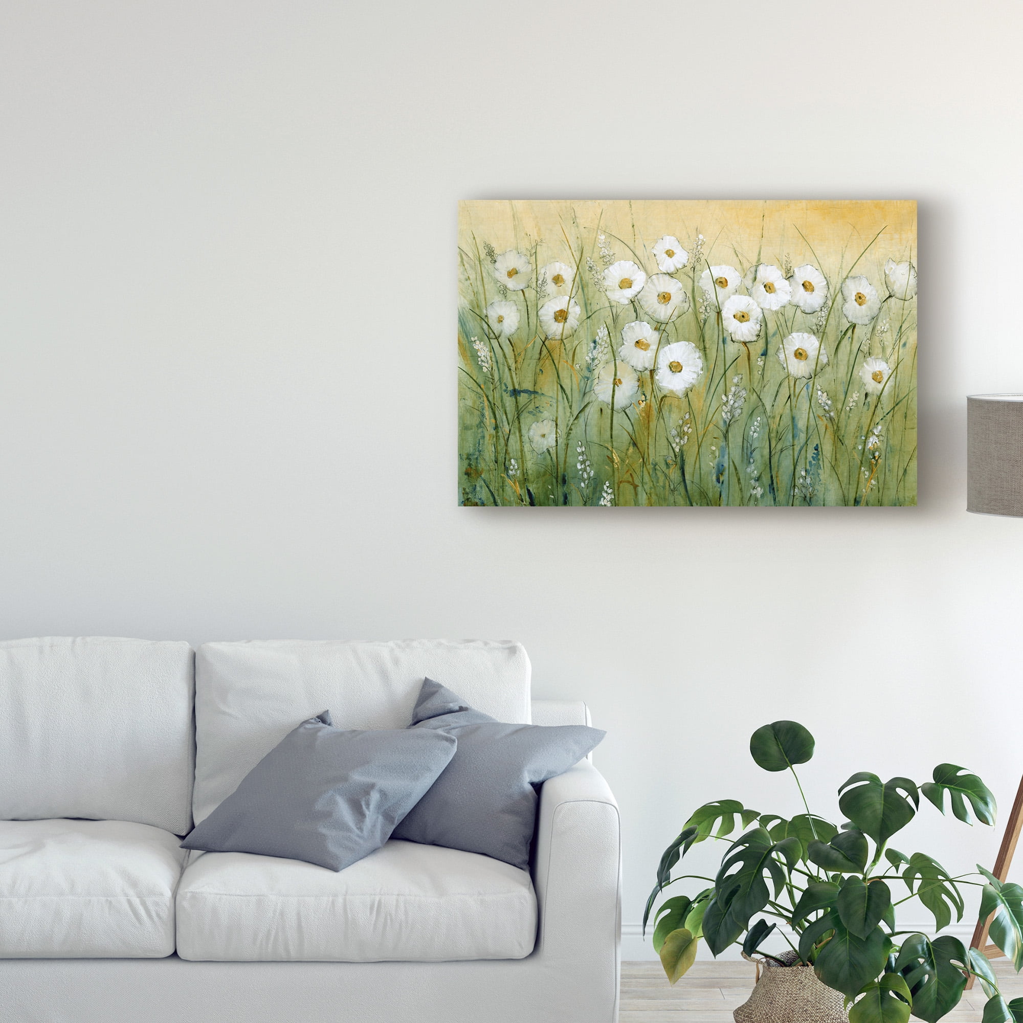Trademark Fine Art 'Daisy Spring I' Canvas Art by Tim OToole