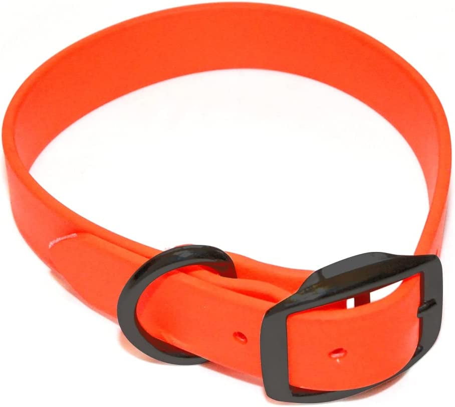 Regal Dog Products Waterproof Dog Collar with Black Hardware Water