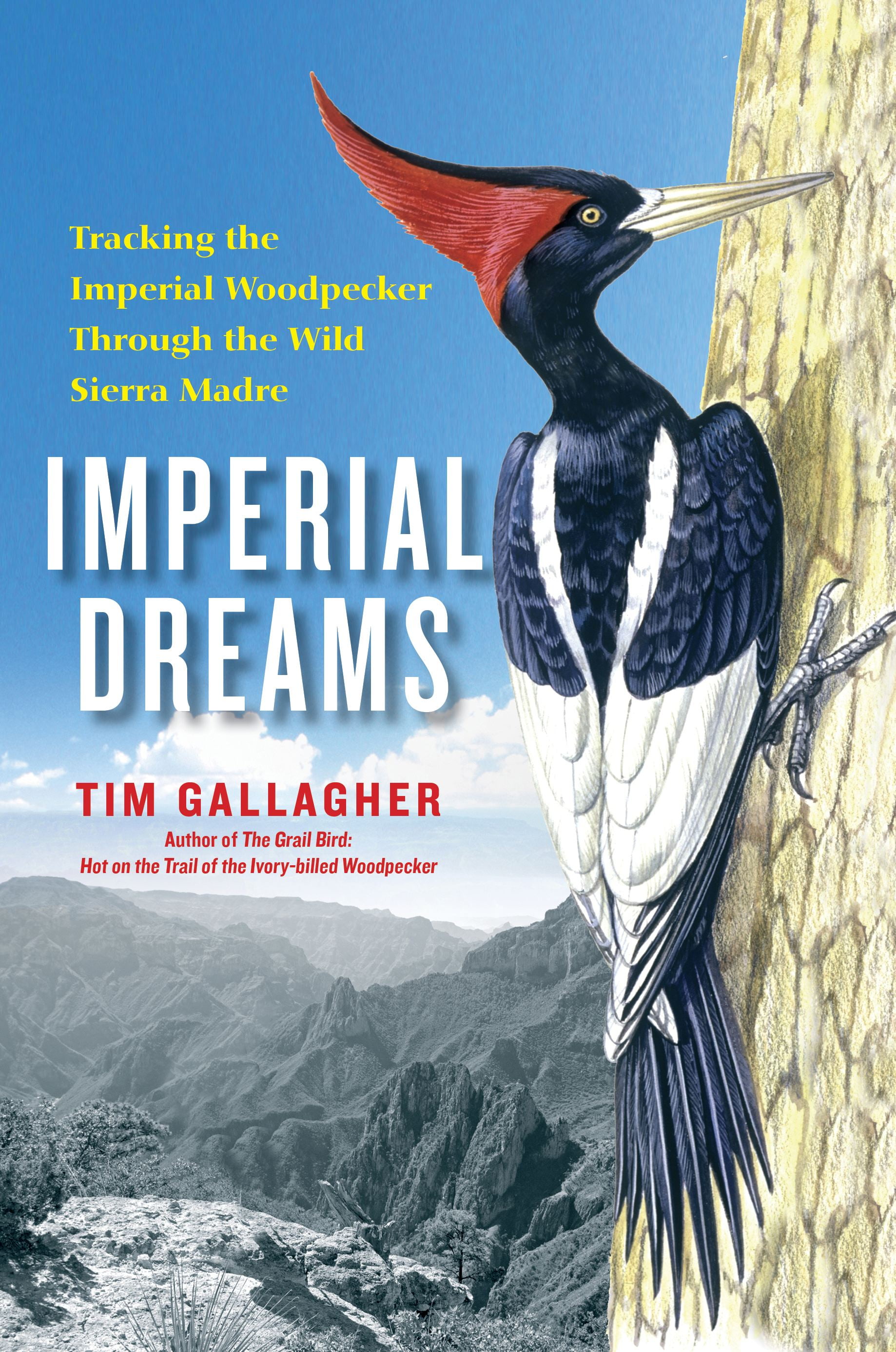 Imperial Dreams Tracking The Imperial Woodpecker Through The Wild Sierra Madre Walmart Com