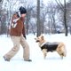 thumbnail image 2 of (L, Gris oscuro) Abrigo de invierno para perros, chaqueta abrigada para perros, chaleco cortavientos e impermeable, suéteres para mascotas, traje de nieve para perros pequeños, grandes y medianos., 2 of 5