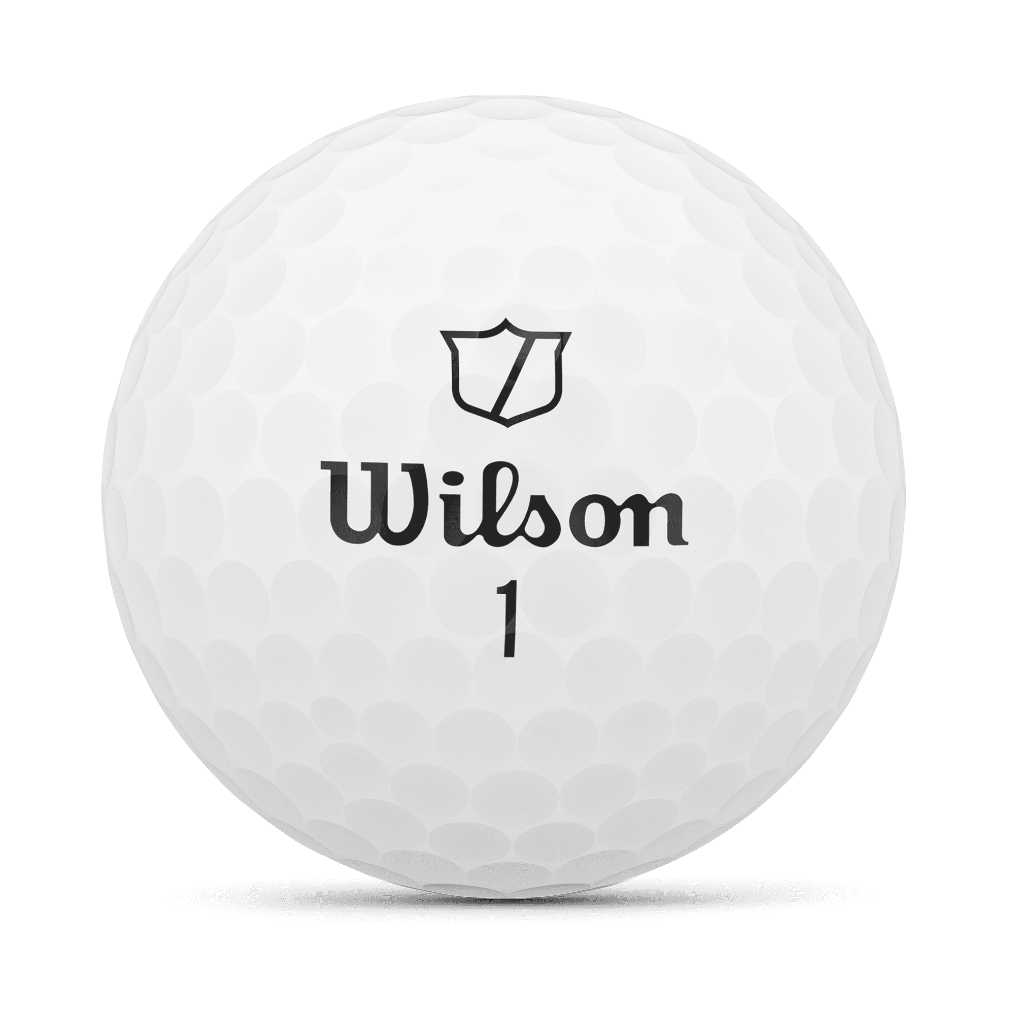 (2 pack) Wilson Staff Model Adult Golf Balls, Urethane White, 12 Count