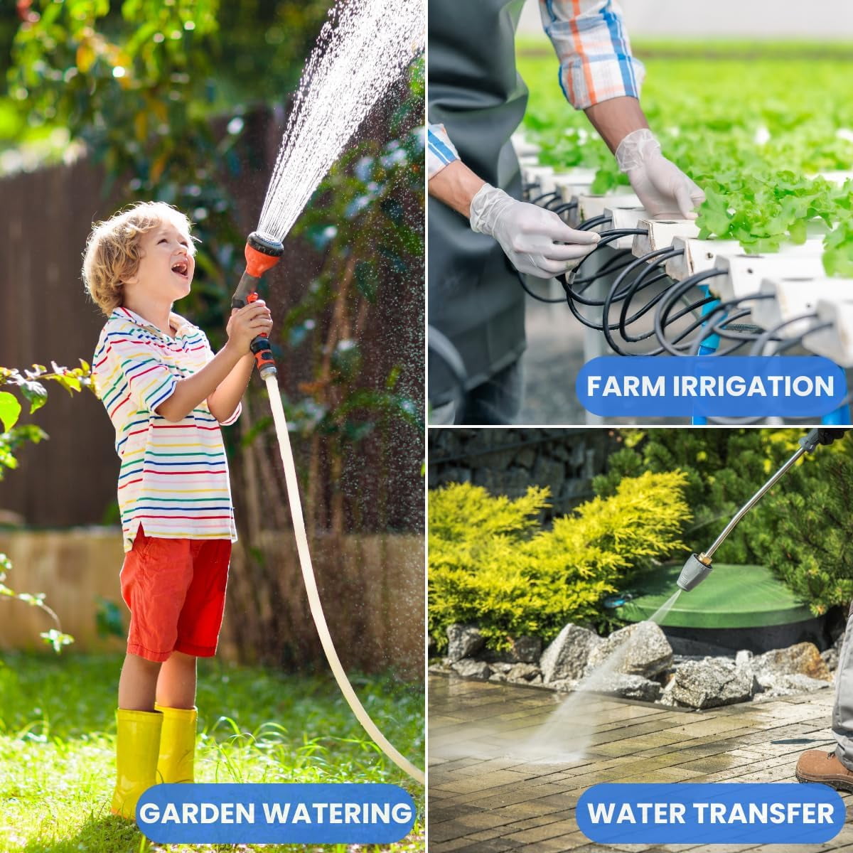 FOTING 1.5HP Shallow Well Pump 1340GPH 164ft Lift 5Gal Pressure Tank Automatic Irrigation Water Booster Jet Pump 115V Blue
