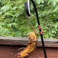 thumbnail image 4 of Artistic Metal Butterfly Attractor With Fruit Shape Hammock Outdoor Decoration, 4 of 8