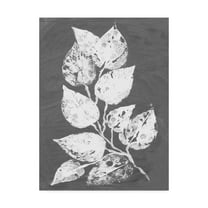 Trademark Fine Art 'Frosty Philodendron II' Canvas Art by Alicia Ludwig