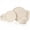 Ivory, variant on Kook Dinnerware Set, 12 Piece Service for 4, Ceramic White, Cambridge Classics