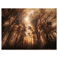 thumbnail image 2 of Picturesque Forêt d'Automne - Impression sur Toile Photographie de Paysage, 2 of 3
