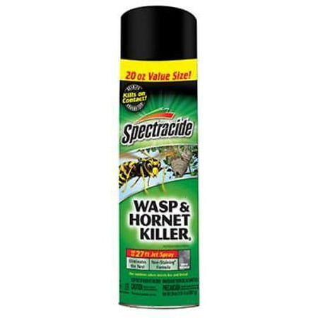 20 OZ Aerosol Wasp and Hornet Killer Kills On Contact Kills Wasps Return (Best Way To Kill Wasps Indoors)
