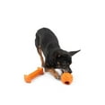 thumbnail image 2 of One Paw, 2 pack Rubber Chew Dog Toy, Small, Treat Dispenser, 2 of 4
