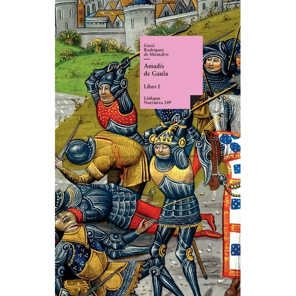 Narrativa AmadÃ­s de Gaula: Libro I, Book 249, (Hardcover)
