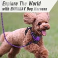 thumbnail image 4 of BARKBAY No Pull Dog Harness for Large Dogs with 2 Metal Leash Clips Reflective and Easy Control Handle for Walking Training Running Purple,S, 4 of 11