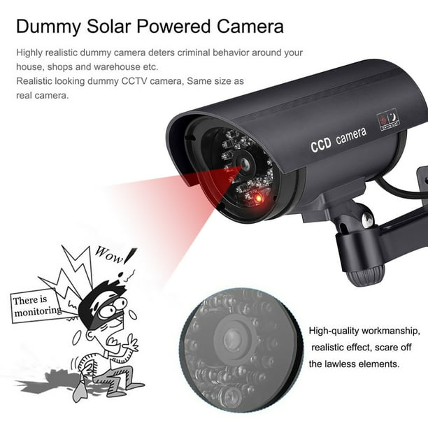 Fake surveillance cameras walmart 2025