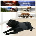 thumbnail image 3 of GASTROPOD 2026 New Thunder Jacket for Dogs Anxiety Relief, Dog Anxiety Vest Calming Care for Separation, Thunderstorm, Travel, Fireworks, Vet Visits, 3 of 7