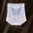 thumbnail image 2 of Xfvqtps Women Tummy Control Shapewear Underwear High Waist Body Shaper Slimmming Girdle Waist Trainer Briefs Blue, 2 of 4
