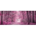 thumbnail image 2 of Frank, Assaf 32x15 Gold Ornate Wood Framed with Double Matting Museum Art Print Titled - Pathway through Autumn forest, 2 of 4