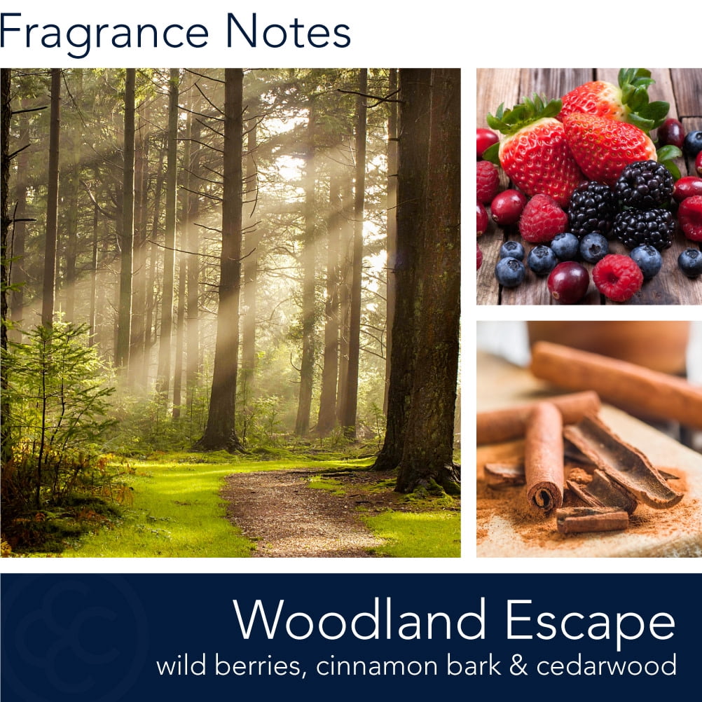 Manly Indulgence Woodland Escape 20 oz Jar Candle, Wood Wick, Navy