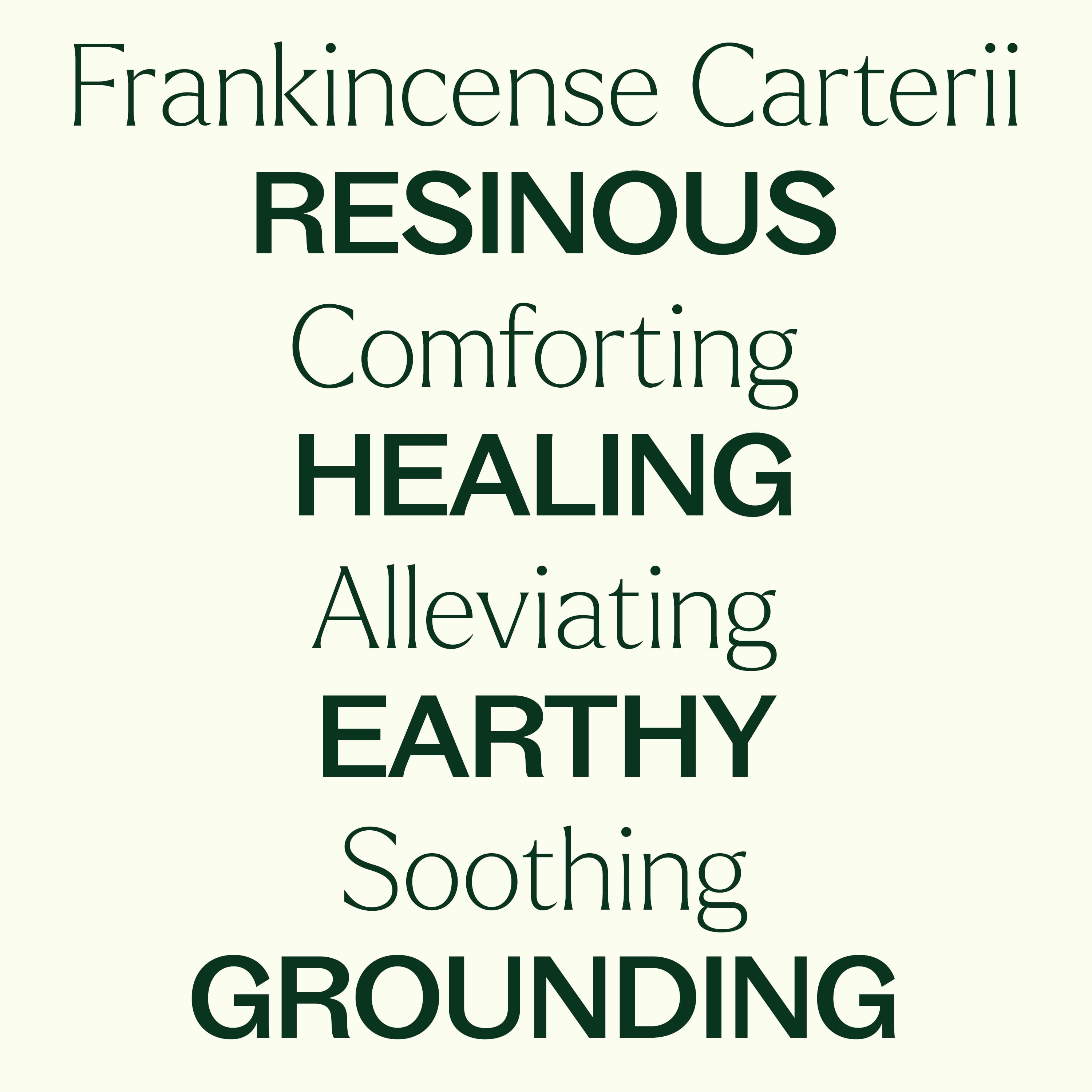 Plant Therapy Frankincense Carterii Essential Oil 30 mL (1 oz), Pure, Undiluted, Natural Aromatherapy