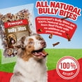 Powerpet Treats Bully Stick DHF10 Bites Delicious Dog Treats Long