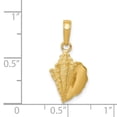 thumbnail image 3 of Real 14kt Yellow Gold Solid Polished Conch Shell Pendant; for Adults and Teens; for Women and Men, 3 of 3