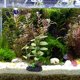 thumbnail image 4 of OUNONA De Artificiales Para Acuario Con Y Mantenimiento, 4 of 6