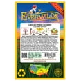 thumbnail image 2 of Everwilde Farms - 100 Carolina F1 Hybrid Cucumber Seeds - Gold Vault Jumbo Bulk Seed Packet, 2 of 5