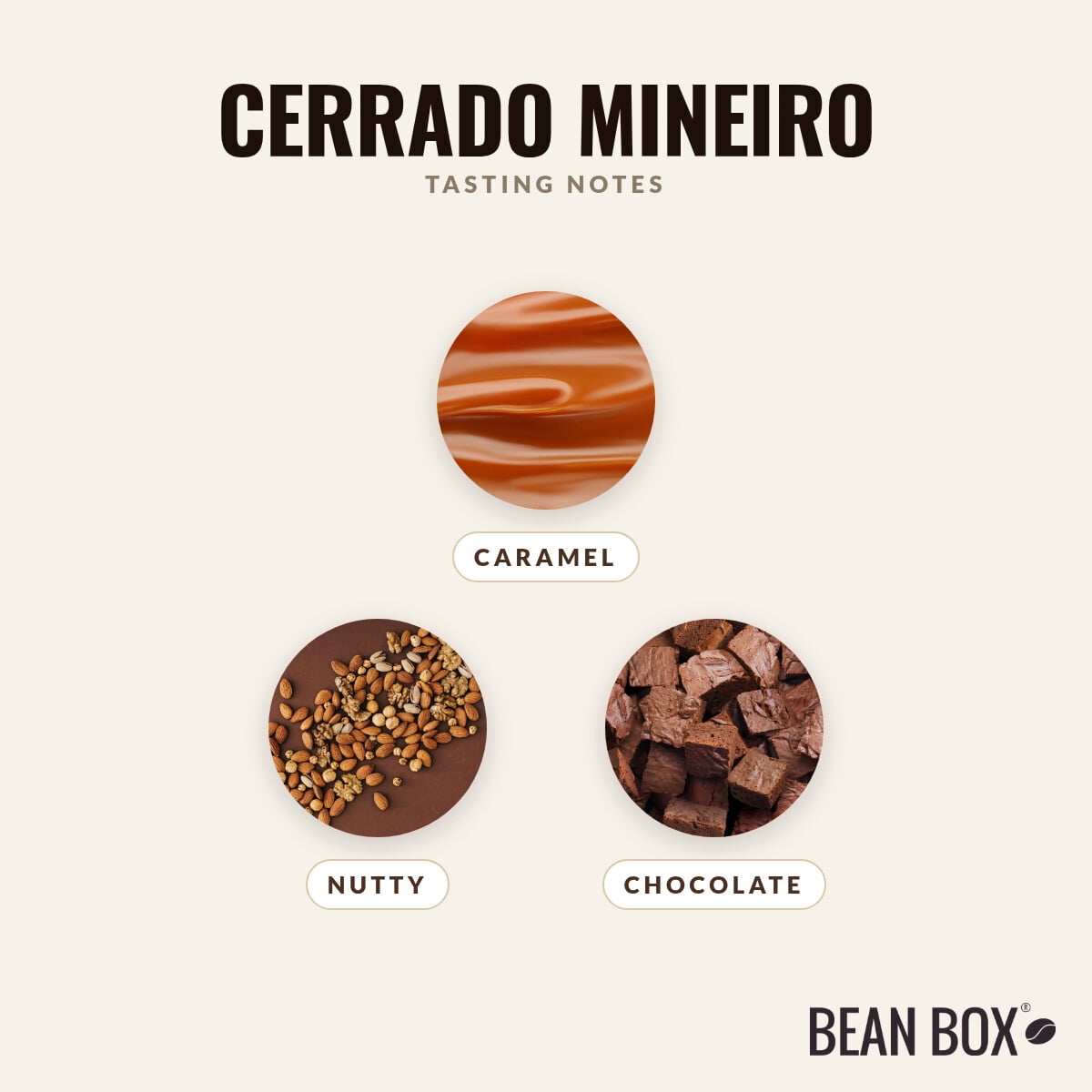 Cerrado Mineiro - Roasted by Casa Brasil Coffees - Whole Bean Coffee - 12oz Bag