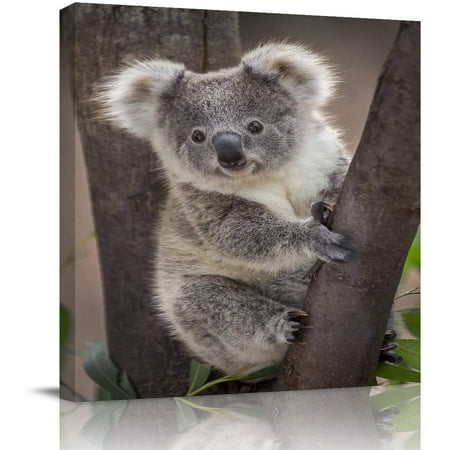Square Canvas Wall Art Decor,Koala Bear Australia Wild Animals Oil Painting Prints on Canvas Wall Decoration for Living Room Bedroom,Stretched and Frame,Ready to Hang 12x12in | Walmart Canada Square Canvas Wall Art Decor,Koala Bear Australia Wild Animals Oil Painting Prints on Canvas Wall Decoration for Living Room Bedroom,Stretched and Frame,Ready to Hang 12x12in | Walmart Canada
