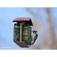 thumbnail image 5 of Amish-Made Double Suet Bird Feeder, Eco-Friendly Poly-Wood Gray/Lime, 5 of 9