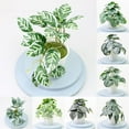 thumbnail image 2 of Artificial Plants Bonsai Simulation Pot Plants Home Decor Office Decoration, 2 of 4