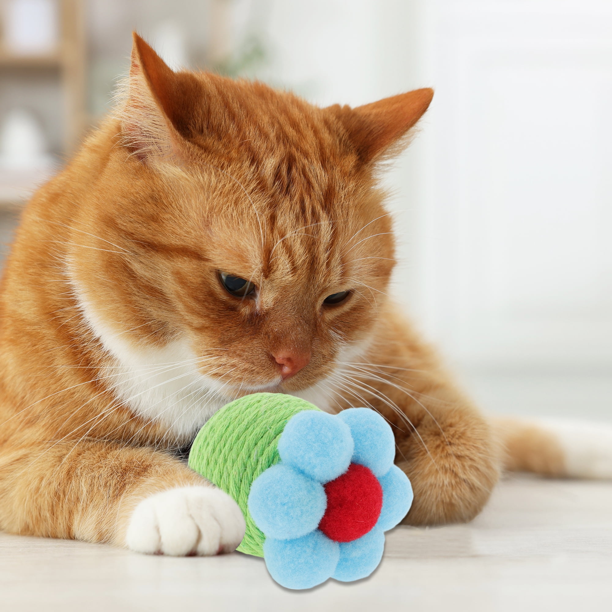 Unique Bargains Safe Teeth Cleaning Chew Balls Green