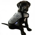 thumbnail image 2 of Evaporative Cooling Dog Coat - 8529-SV-S, 2 of 2