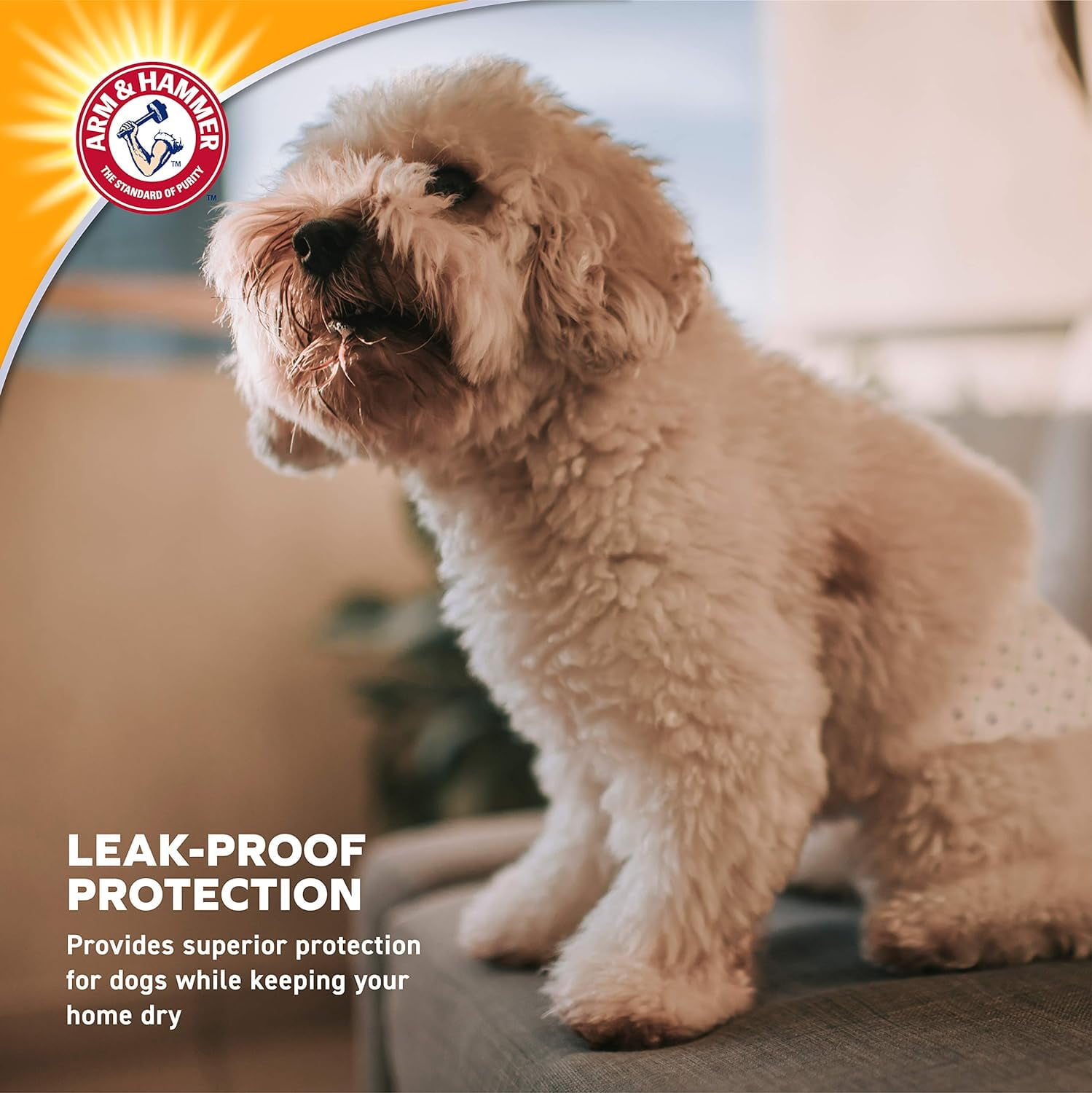 Arm & Hammer Female Dog Diapers, Size Small, 12 Count | Ultra-Absorbent, with Leak-Proof Protection