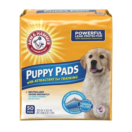 Arm & hammer absorbent puppy pads dog , 22.5 in x 22.5 in, 50