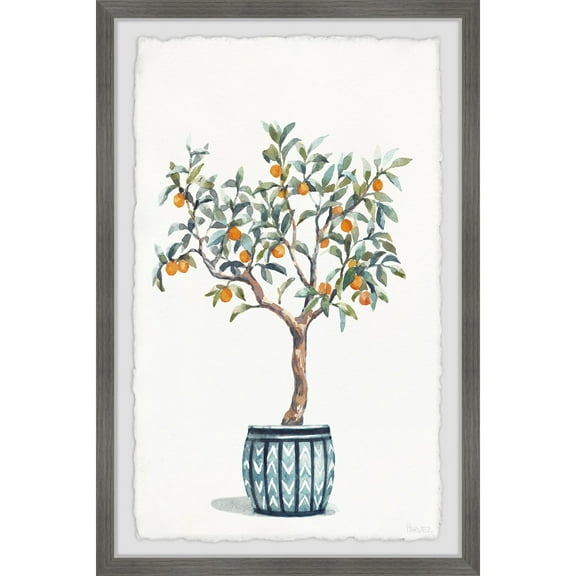 Parvez Taj Bonsai Orange Tree Framed Painting Print