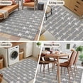 thumbnail image 5 of 3'x5' Area Rugs, Starfish Grey Indoor Outdoor Area Rug for Living Room Bedroom, Coastal Ocean Summer Sea Beach Washable Bathroom Rugs Kitchen Floor Carpet Mats Home Decor Aesthetic, 5 of 8